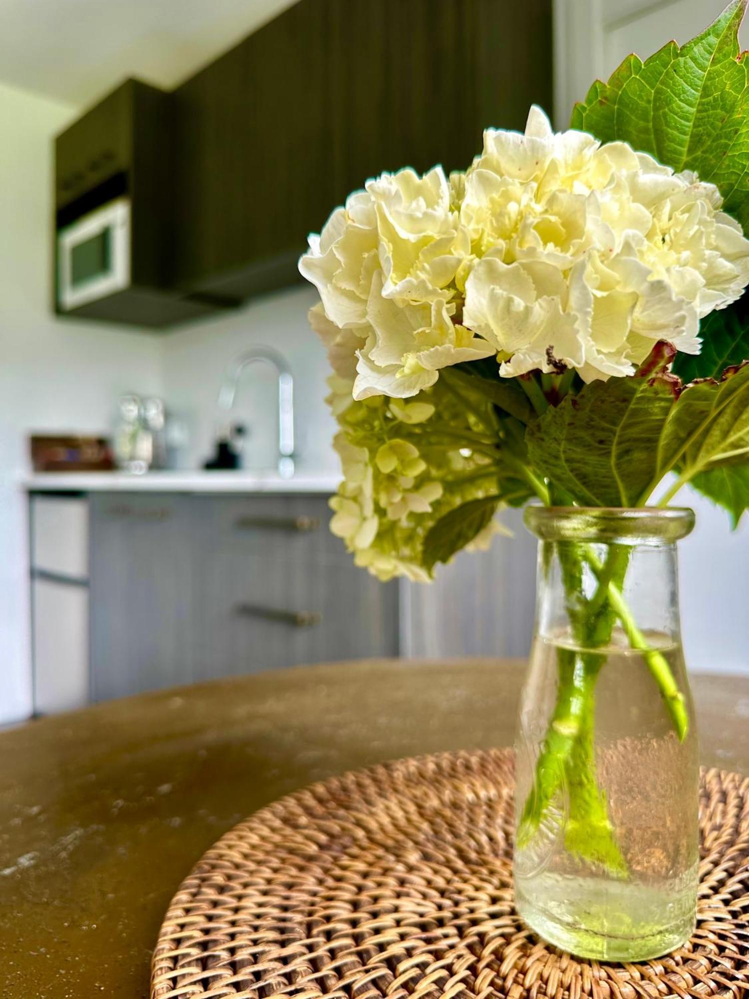 Matamata Country B&B Экстерьер фото